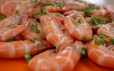 19 October, 2020. EUADORIAN WILD CAUGHT SHRIMP. PINK AND BROWN PRAWN. HOSO Y HLSO