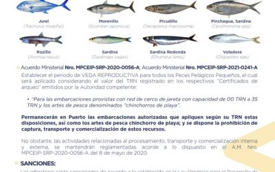 30, November 2021 ECUADOR NEWS.  Reproductive closure in Ecuador, for pelagic fish and boats from 0-35 tons (capacity). Period February 09 to March 26, 2022.