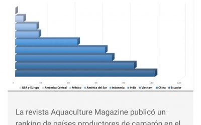 30, December, 2021 ECUADOR NEWS.  Ecuador es el mayor productor mundial de camarón, según revista Aquaculture. La revista especializada publicó el ‘ranking’ de productores a escala mundial en el que también se encuentran China y Vietnam.