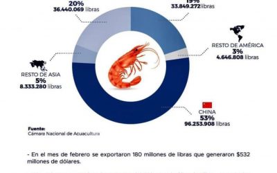 11, March 2022, Ecuador.      Shrimp exports 🍤 from February 2022.