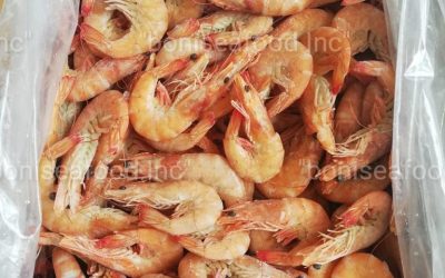 19 DECEMBER 2022. BONI Seafood INC always has the best offers! Today, please check out the WHITE KING PRAWN (PENAEUS VANNAMEI) СHOSO.