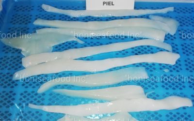 16 JANUARY 2023. Good news again! BONI Seafood INC has an excellent offer for you! GIANT SQUID (DOSIDICUS GIGAS) Bits and pieces.