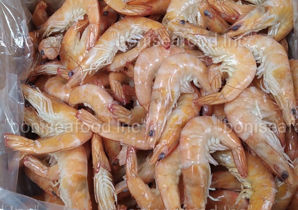 7 FEBRUARY 2023.  Good news! We have an excellent offer for you!  WHITE KING PRAWN (PENAEUS VANNAMEI) CHOSO, IQF, glazing 14%