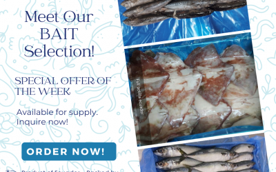October 09, 2023 – Discover our exquisite seafood offerings tailored for BAIT! ECUADOR (BONI ECUADOR SA)