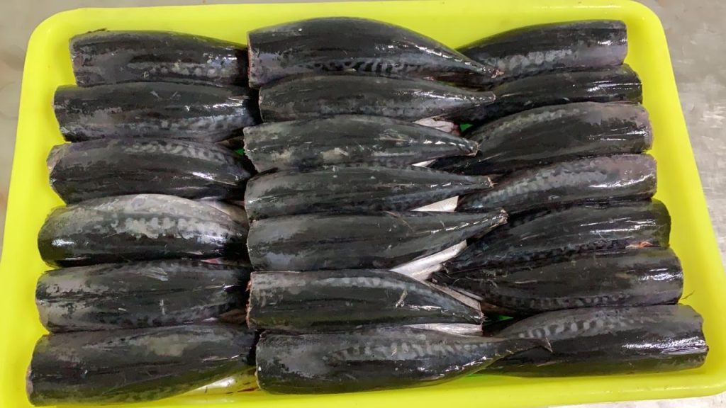 BULLET TUNA, HGT, IN BULK_6 Our email newsletter for canneries mackerel, bonito_hgt