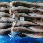 Our South Pacific Hake weekly offer from Boni Seafood SP Hake HGT in-Box