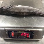 Our South Pacific Hake weekly offer from Boni Seafood SP Hake WR