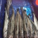 Our South Pacific Hake weekly offer from Boni Seafood SP Hake WR