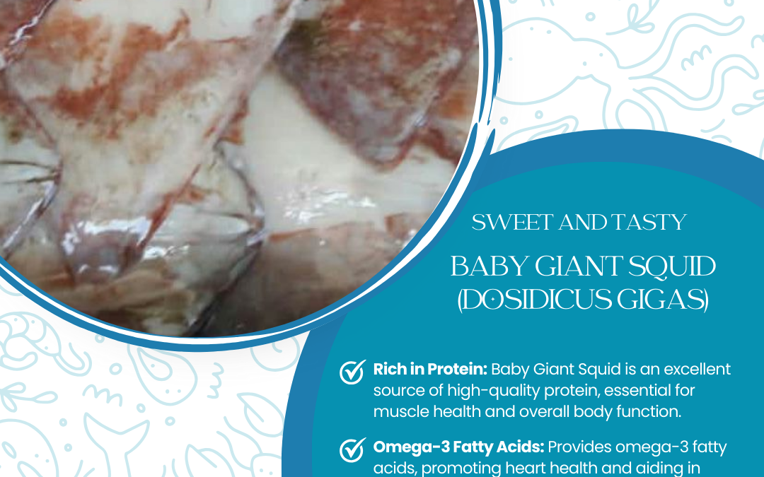 12 FEBRUARY – Giant Baby Squid  (DOSIDICUS GIGAS) – 🦑✨ Dive into the Ocean’s Bounty with Boni Seafood! 🌊🍽️