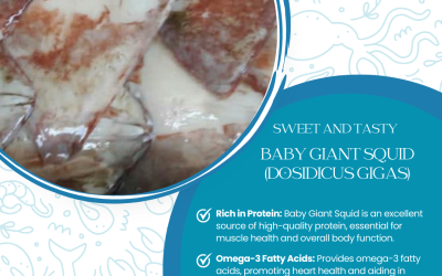 12 FEBRUARY – Giant Baby Squid  (DOSIDICUS GIGAS) – ?✨ Dive into the Ocean’s Bounty with Boni Seafood! ??️