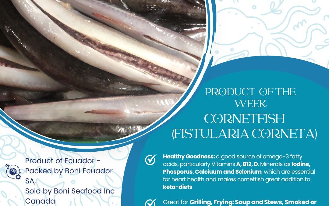 Product of the Week in the Spotlight – Cornetfish (Fistularia Corneta)