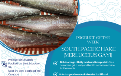 22 JULY – Discover the South Pacific Hake (Merluccius Gayi) –  Boni Seafood Product of the Week